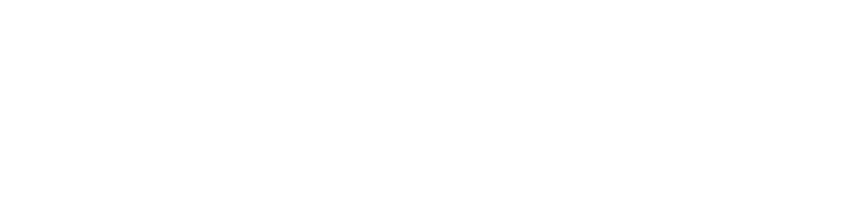 Julie Meessen Institut